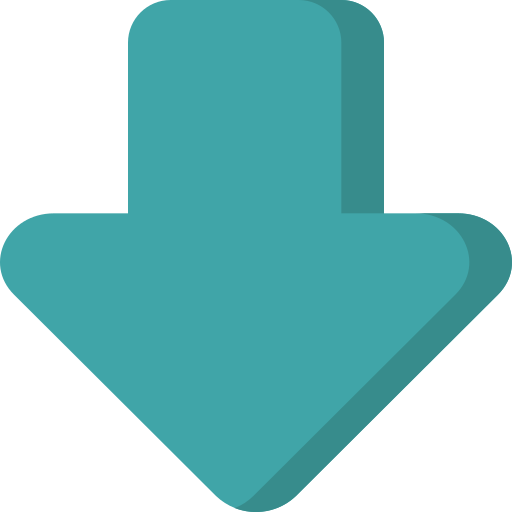 Arrow, down, download, file, import, interface, save icon