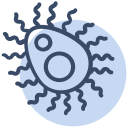 Corona,Coronavirus,Covid19,Genome,Infection,Spread,Virus