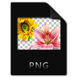 Png, file icon