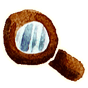 Search ok 