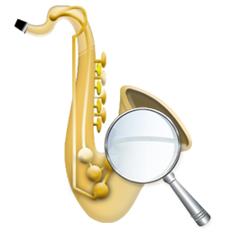 Zoom icon