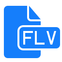 Document,File,Flv