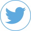Social icon 2 icon 64x64