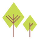 Green,Nature,Square,Tree ok 