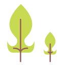 Green,Nature,Squid,Tree