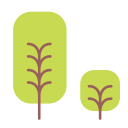 Capsule,Green,Nature,Tree