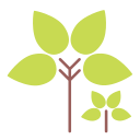 Drop,Green,Nature,Tear,Tree