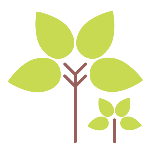 Drop, green, nature, tear, tree icon