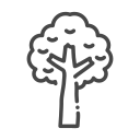 Eco,Ecology,Nature,Organic,Tree