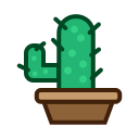 Cactus,Furniture,Nature,Plant,Tree