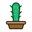 Cactus,Furniture,Nature,Plant,Tree