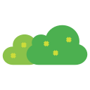 Bush,Flower,Grass,Leaves,Nature,Spring,Tree