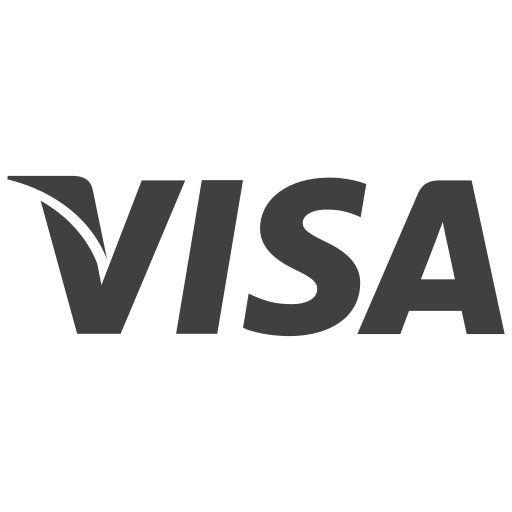 Transaction, money, dredit, debit, payment, card, visa icon