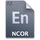 Ncorproject,File,Document ok 