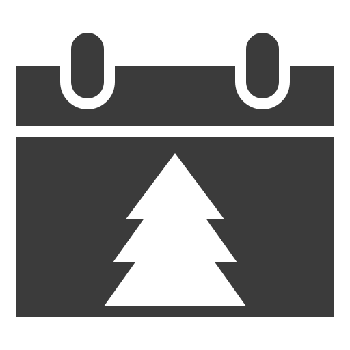 Calendar, christmas, date icon