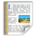 Office, document, template icon