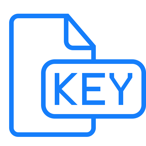 Document, file, key icon