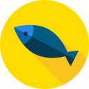 food,food and restaurant,fish,animal,fishes,foods,supermarket,meats,meat