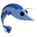 Animal,Fish,Shrimp