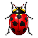 Bug, insect, ladybird icon