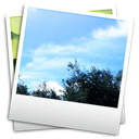 Photographs