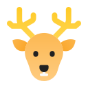 Winter,Deer