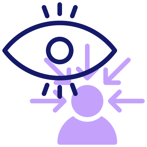 Vision