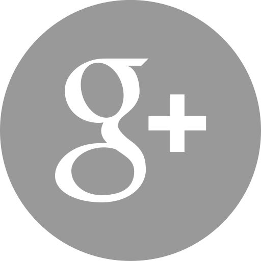 Google, media, online, plus, social icon