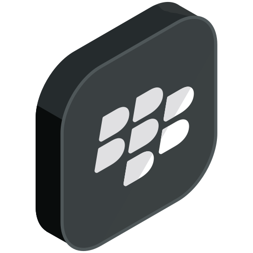 Blackberry, communication, internet, media, network, online, social icon