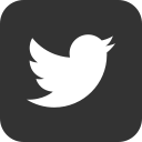Twitter,Bird,Social media,Message