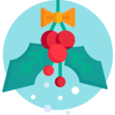 decoration,nature,Tools and utensils,christmas,xmas,ornament,mistletoe