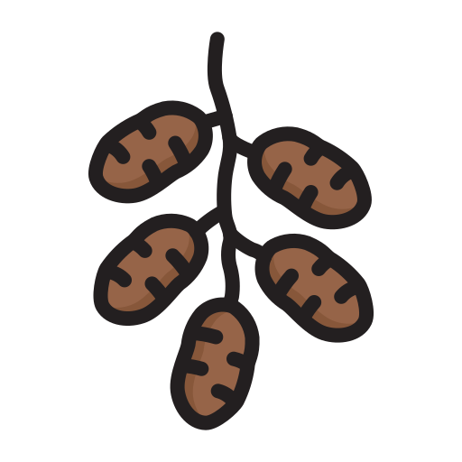 Dates, moslem, fasting, islam, kurma, ramadan icon