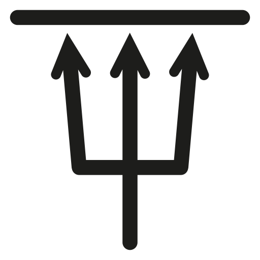 Raven, rune, slavic, slavic calendar, symbols icon