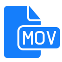 Document,File,Mov ok 