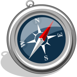 14, safari icon