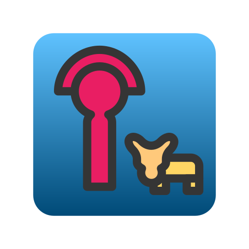 App, application, interface, program, software, ui icon