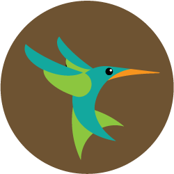 Google, hummingbird, seo icon