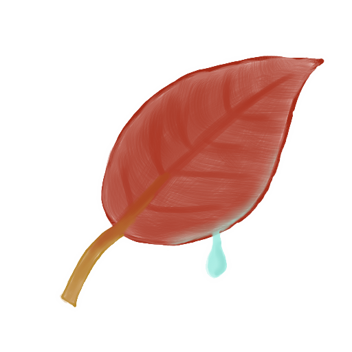 Ak, leaf icon