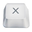X icon