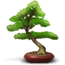 Baobab icon