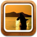 Gallery icon