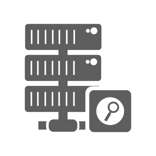 Database, hosting, network, search, server icon