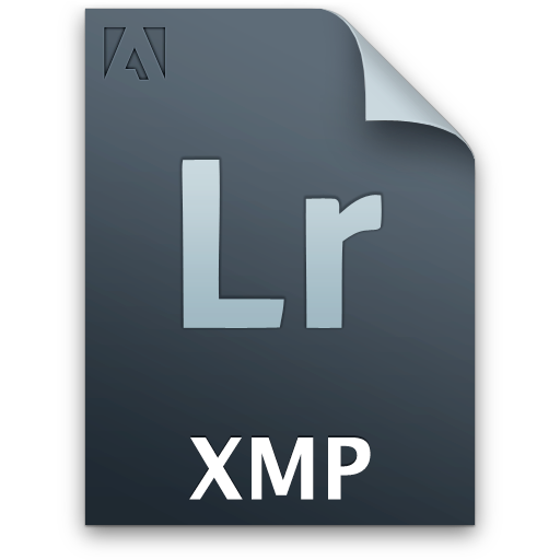 Lr, document, secondary, xmp, file icon