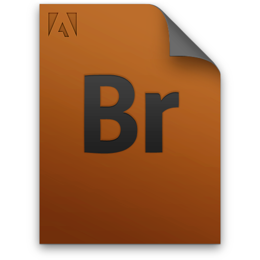 Br, genericfile, file, document icon
