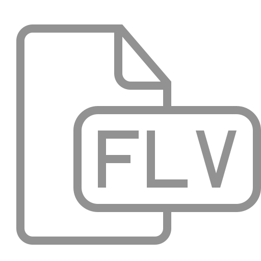 Document, file, flv icon