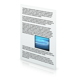 Document icon