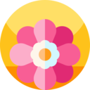 nature,botanical,flower,blossom,petals ok 