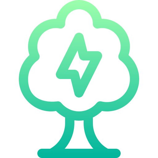 Environment