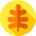 nature,plant,botanical,leaf,garden,oak leaf,oak