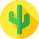 dry,nature,plant,botanical,dessert,cactus